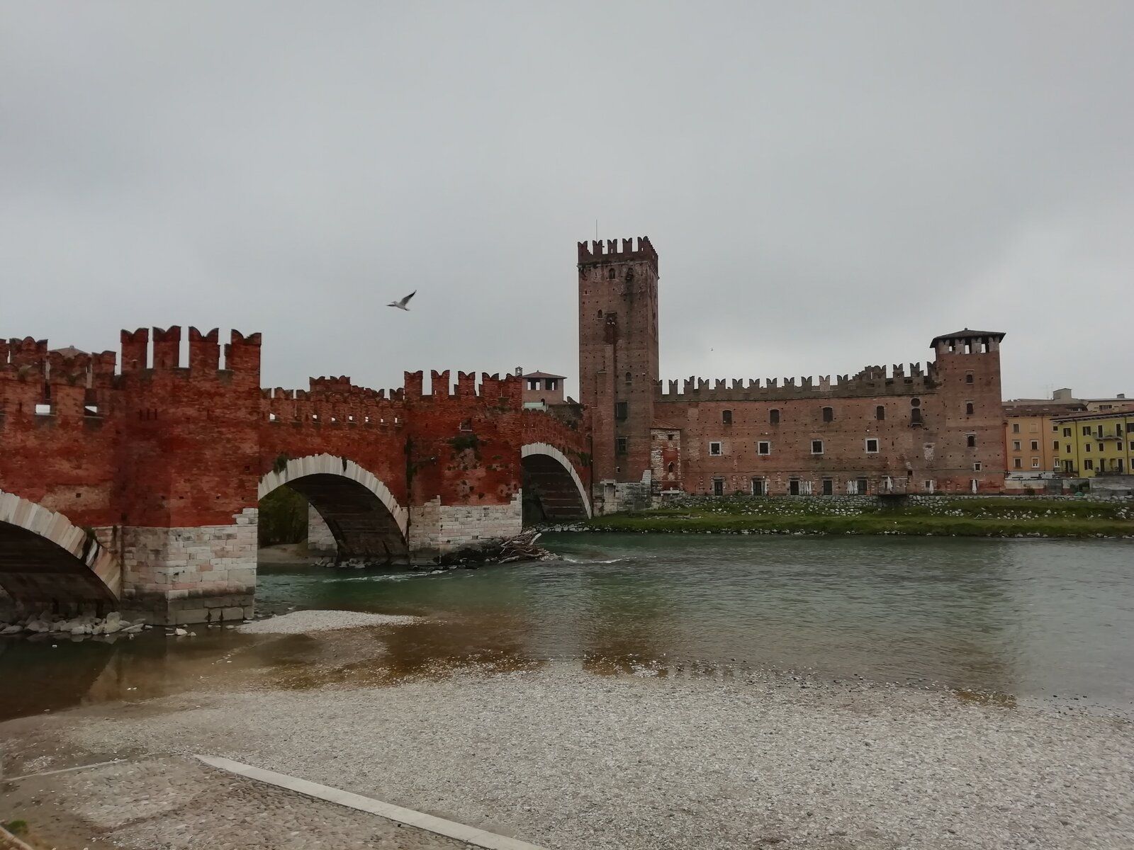IMG_20211121_123346.jpg