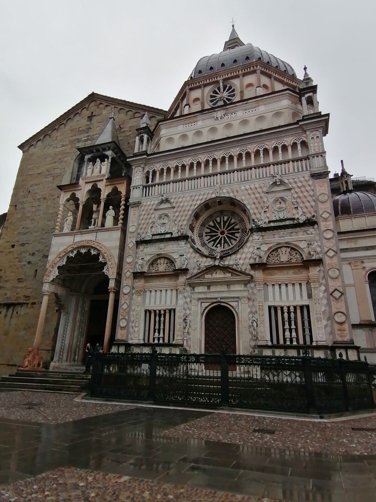 IMG_20211122_093654.jpg