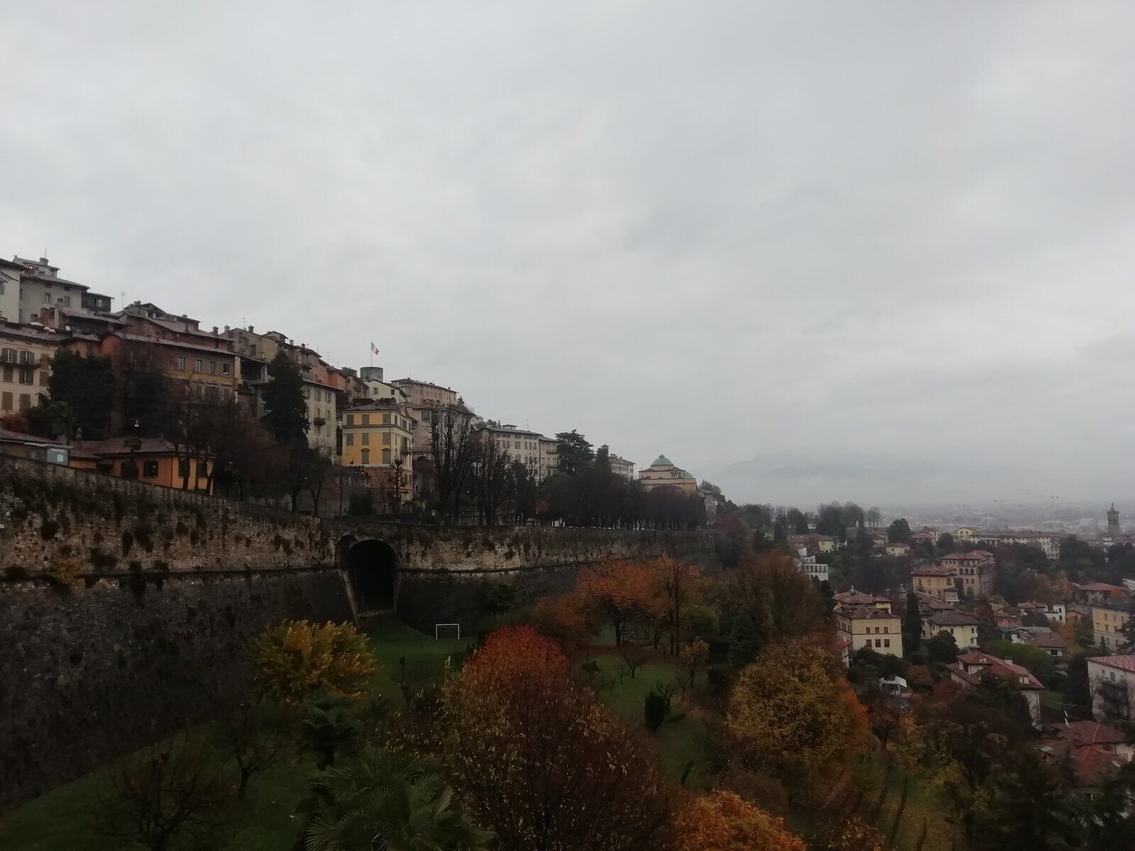 IMG_20211122_104045.jpg