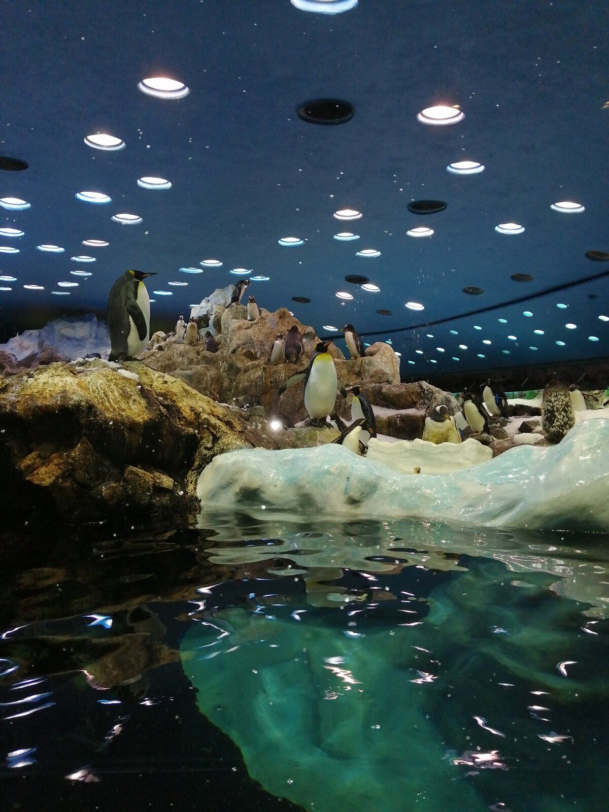 IMG_20211230_103939.jpg