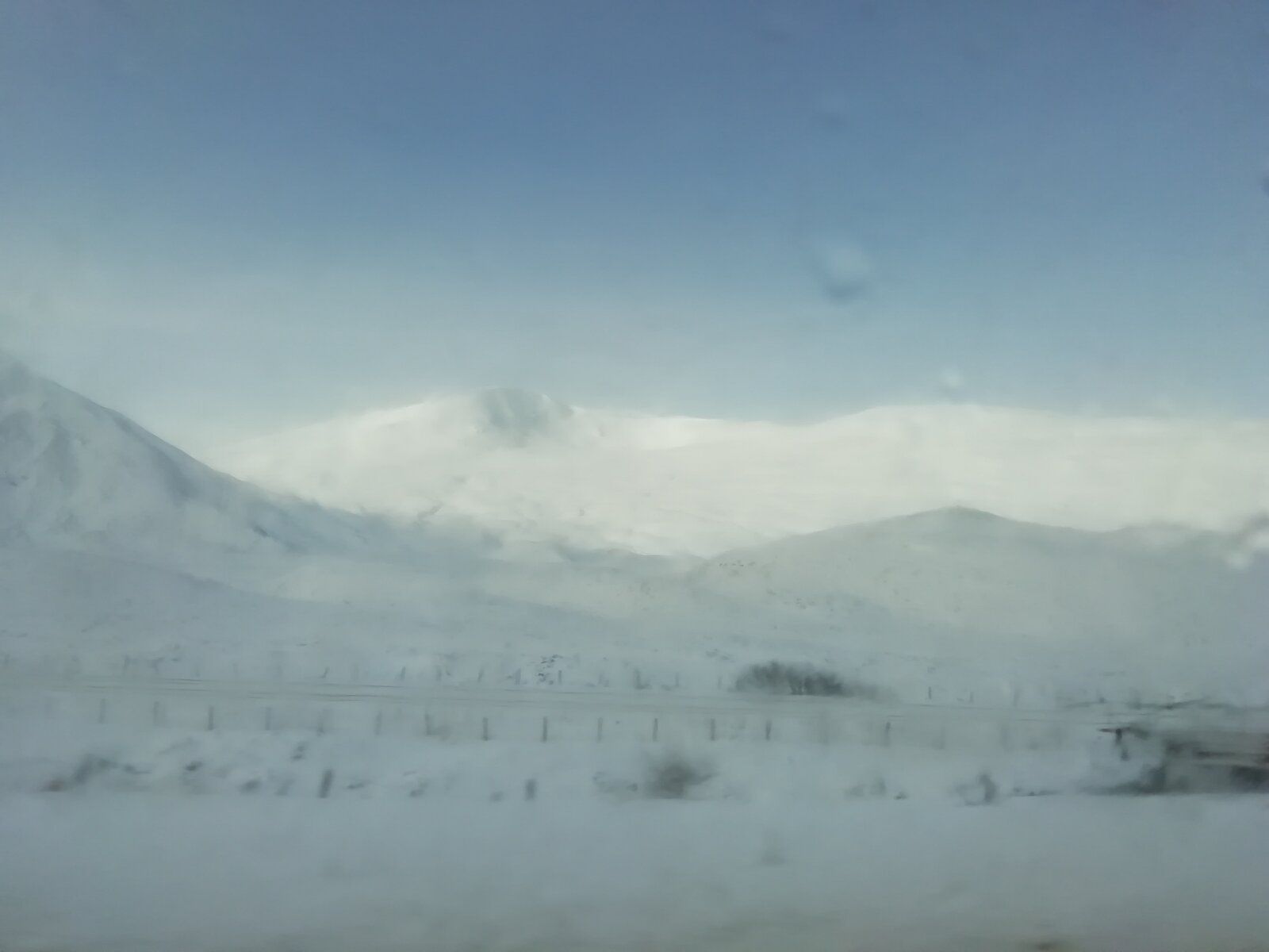 IMG_20220225_102458.jpg