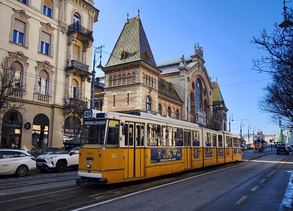 IMG_20250228_092656_1024.jpg