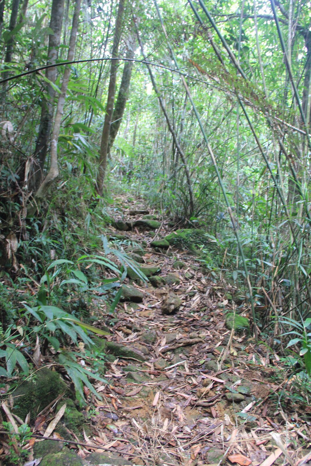 IMG_2464.JPG