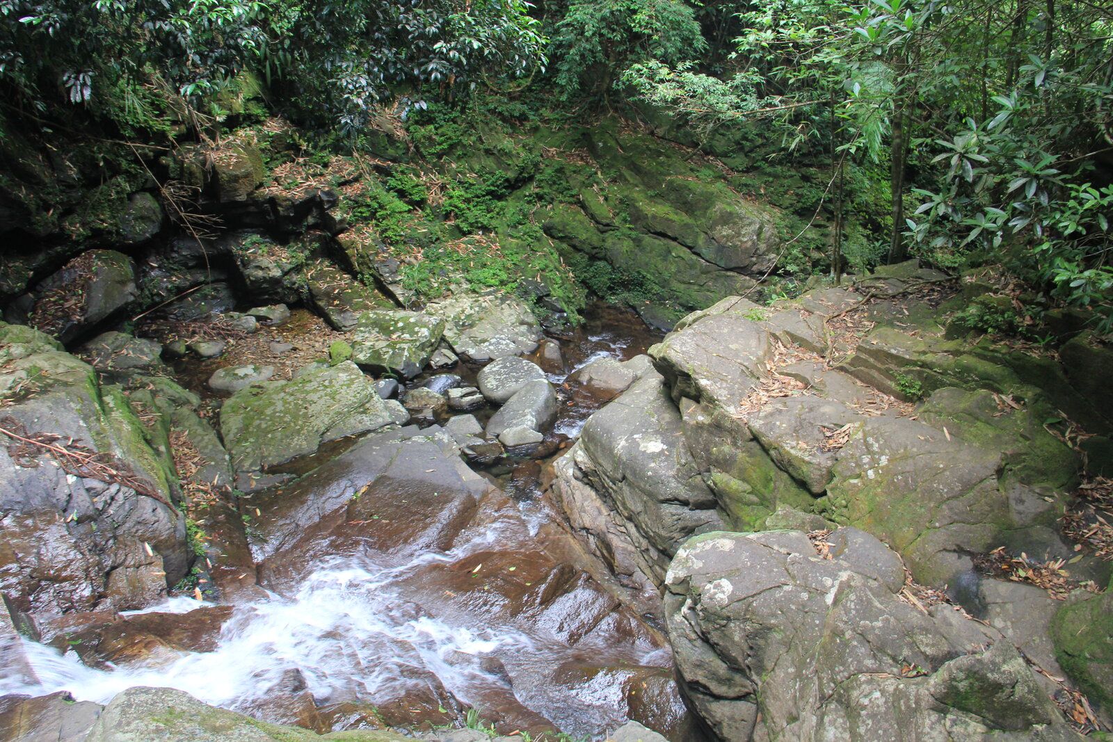 IMG_2487.JPG