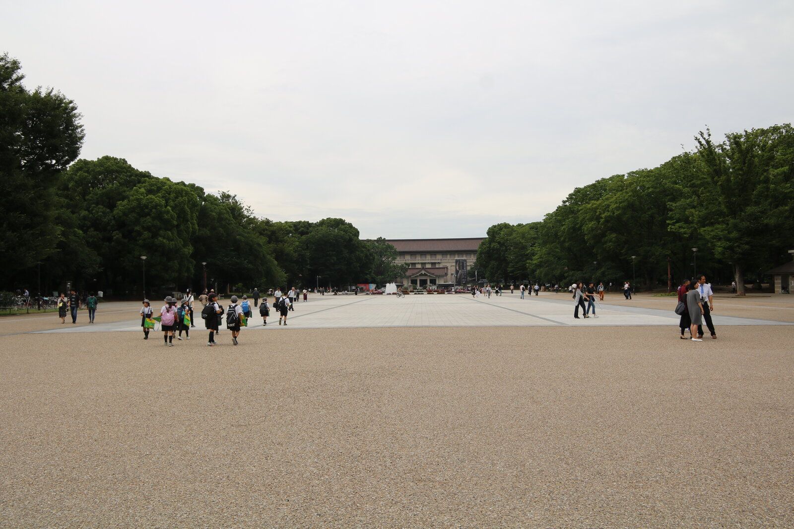IMG_2545.JPG