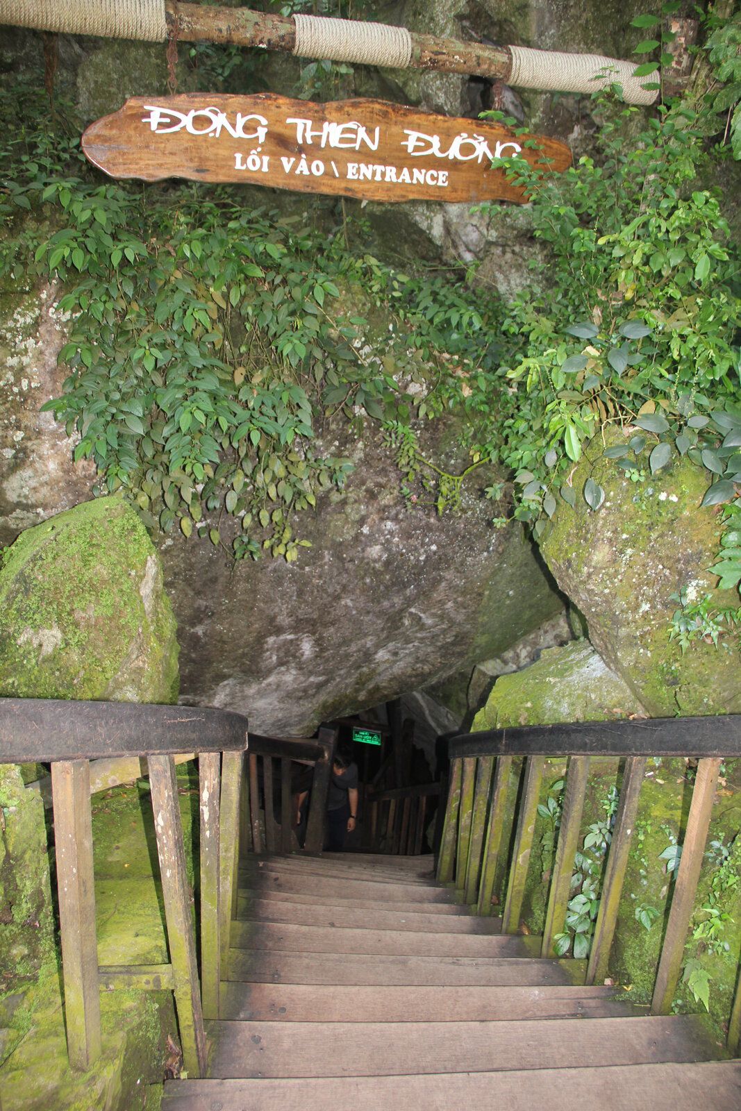 IMG_2644.JPG