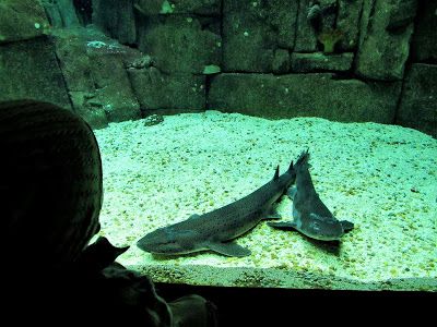 IMG_2961.JPG