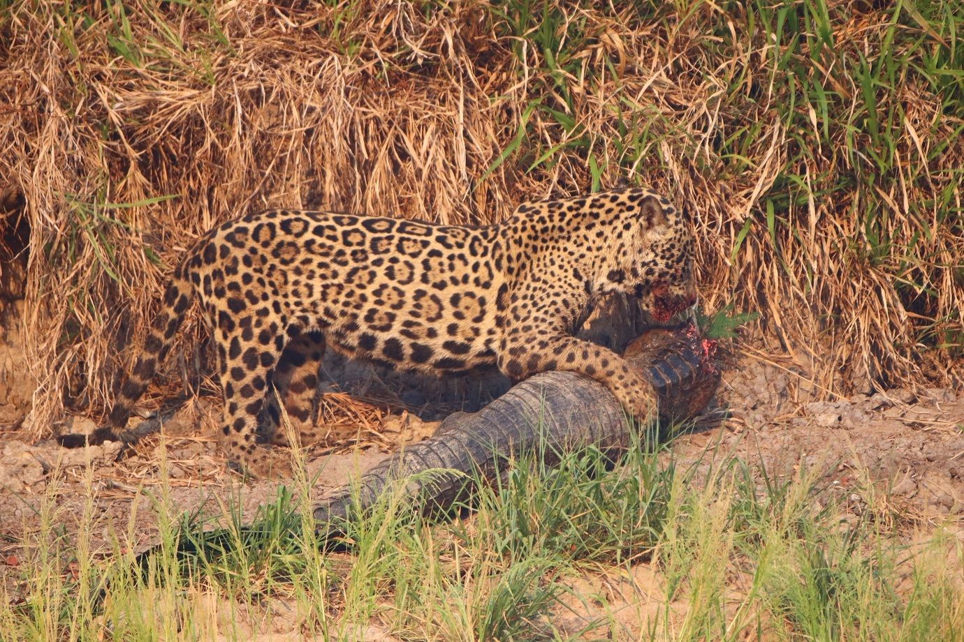 IMG_3002.jpg