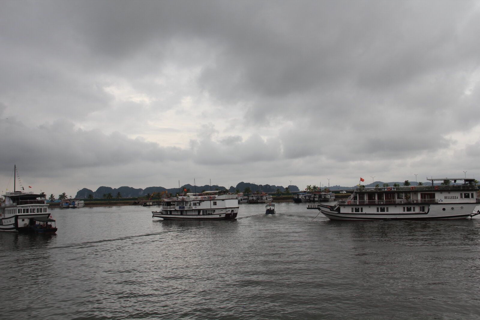 IMG_3120.JPG