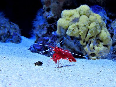 IMG_3259.JPG