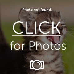IMG_4995HDTV1080.jpg