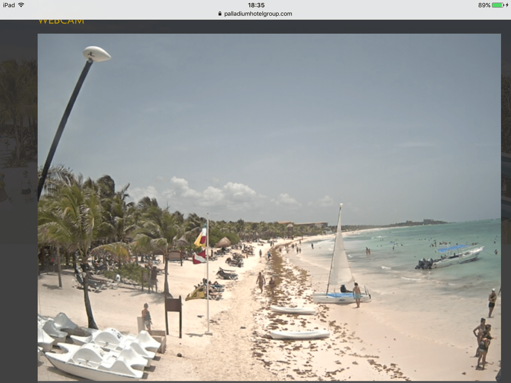 IMG_5202.PNG