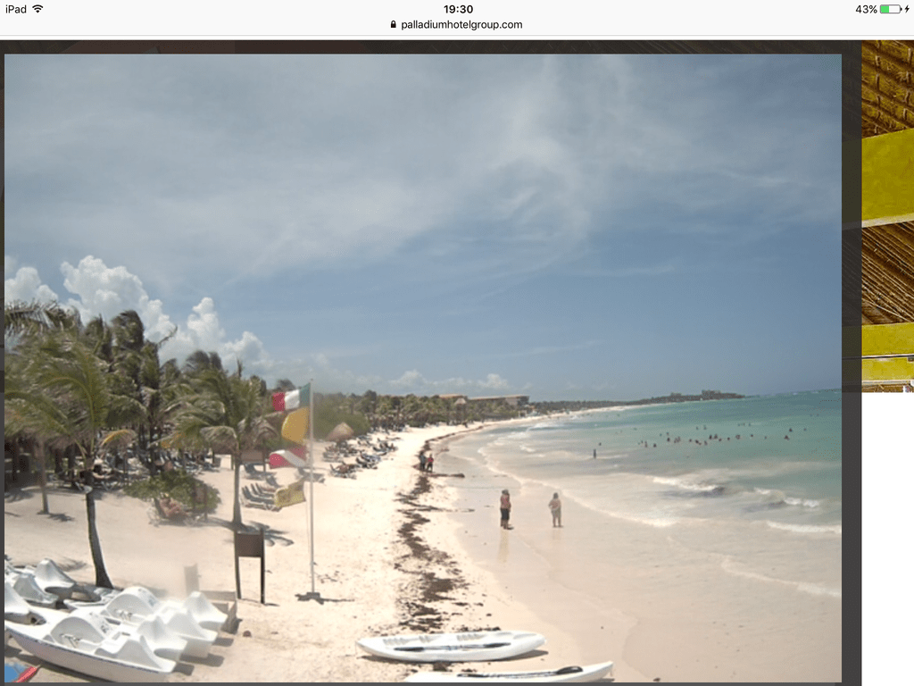 IMG_5213.PNG