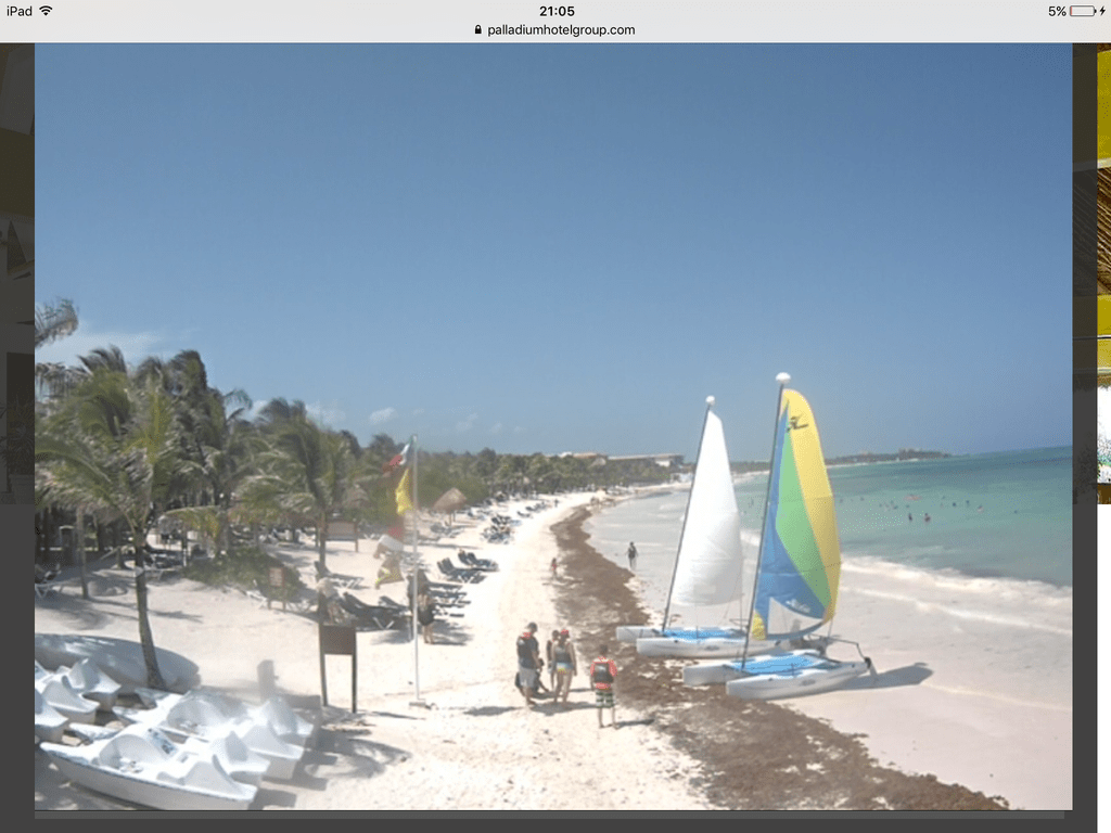 IMG_5247.PNG