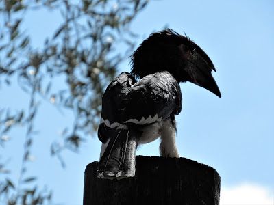 IMG_5785.JPG