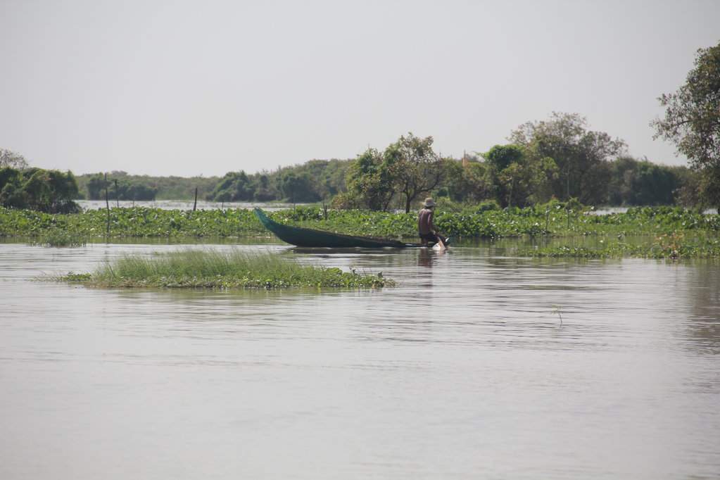 IMG_5790.JPG