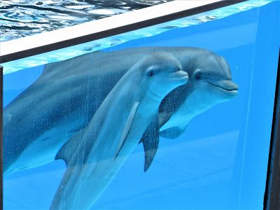 IMG_5845.JPG
