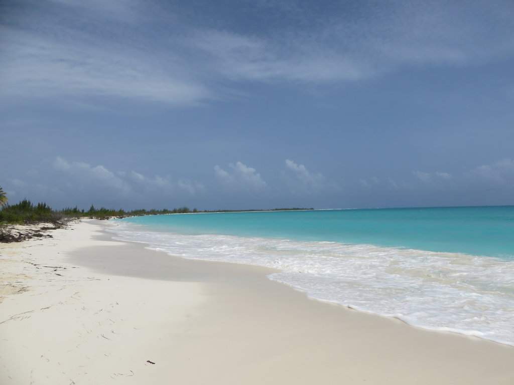 IMG_6636.JPG