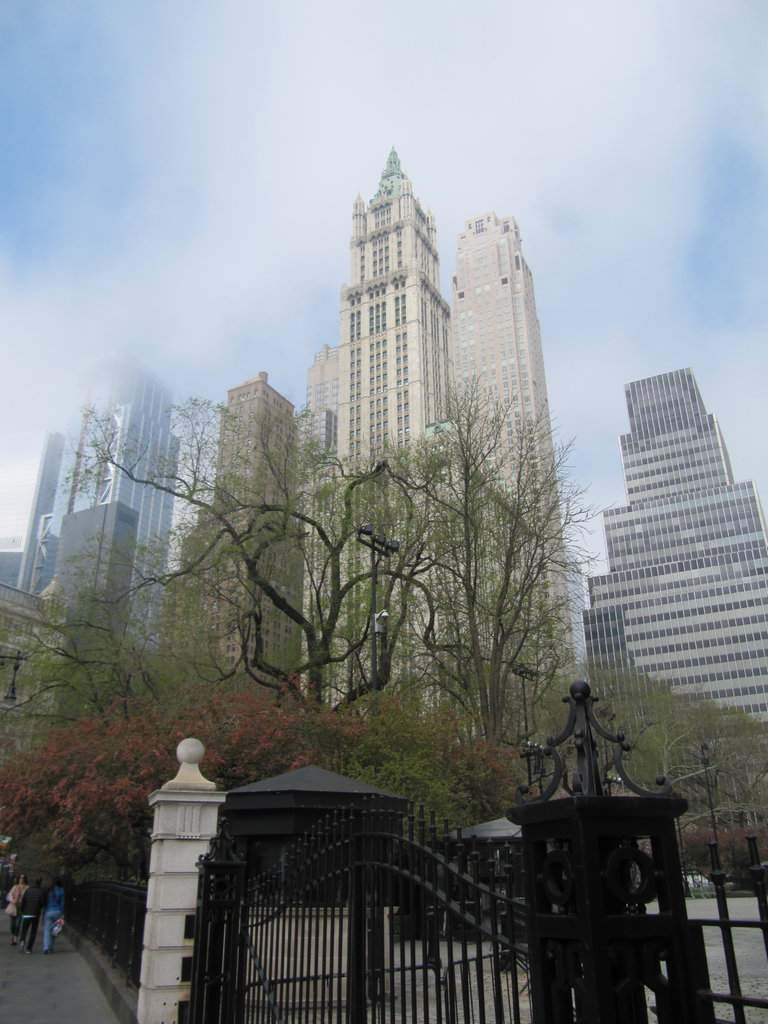 IMG_6707.JPG