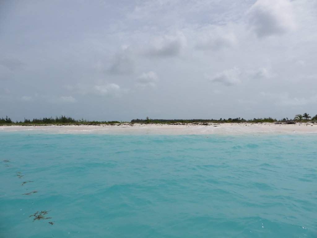 IMG_6709.JPG