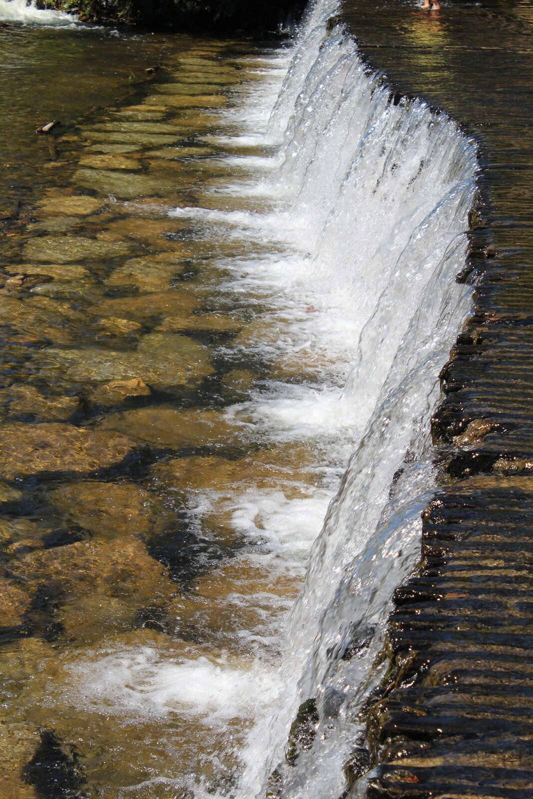 IMG_6777.JPG