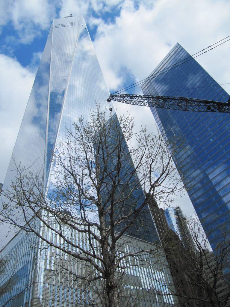 IMG_6812.JPG