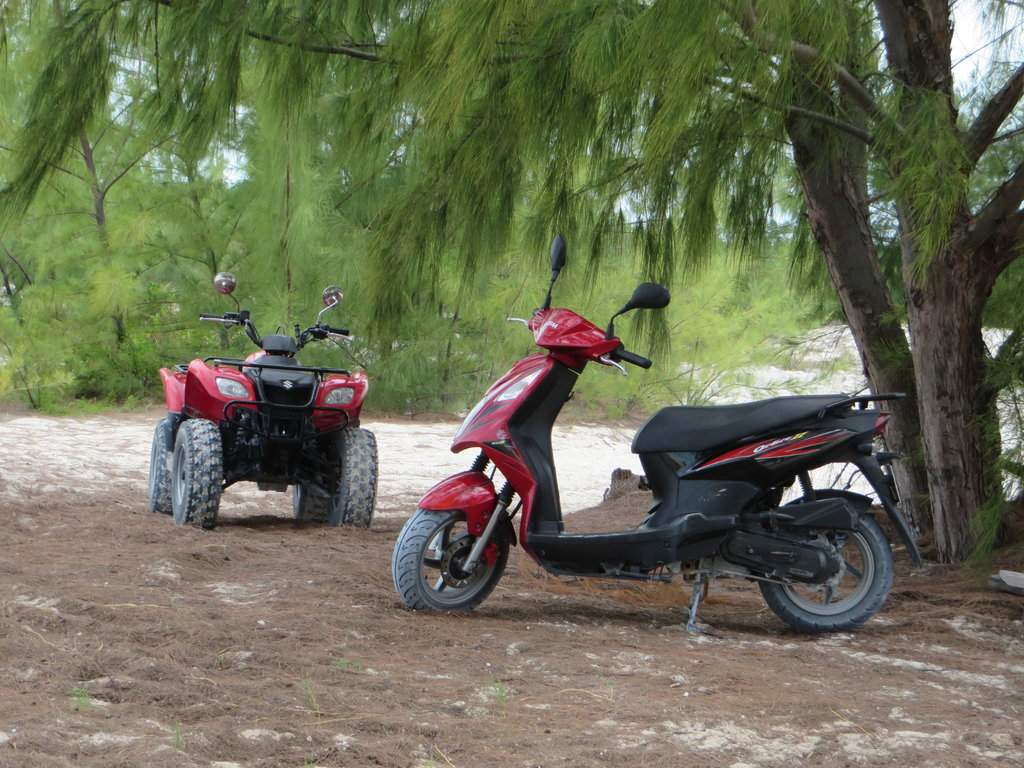 IMG_6855.JPG