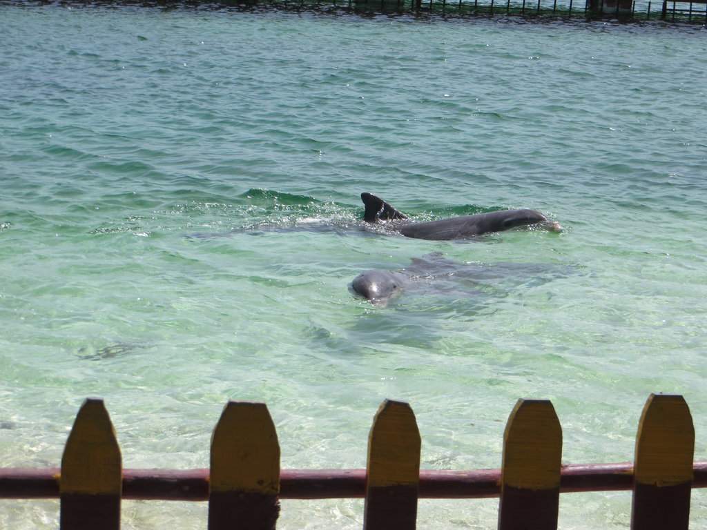 IMG_6887.JPG