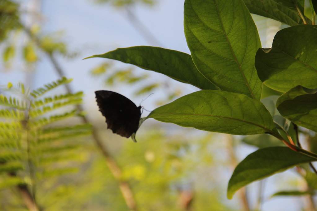 IMG_7279.JPG