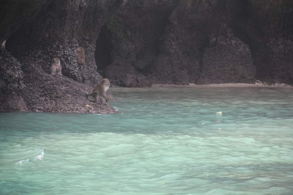 IMG_7654.JPG