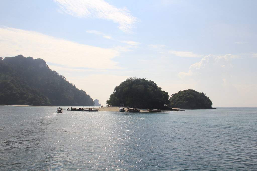 IMG_7771.JPG