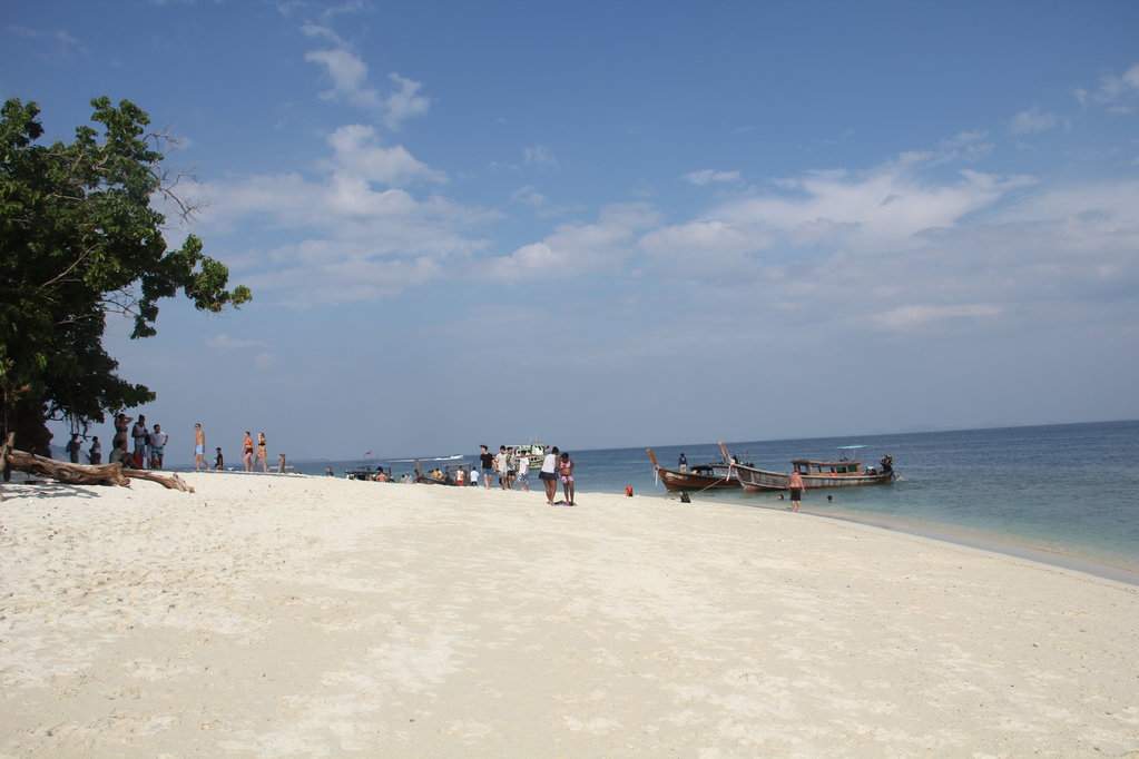 IMG_7780.JPG