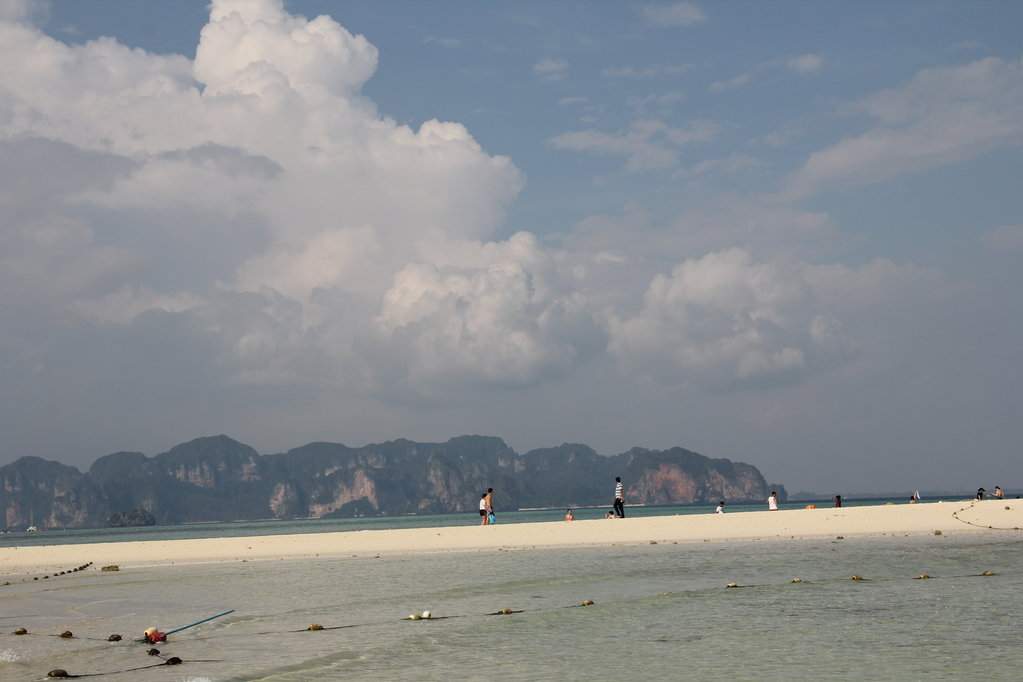 IMG_7788.JPG