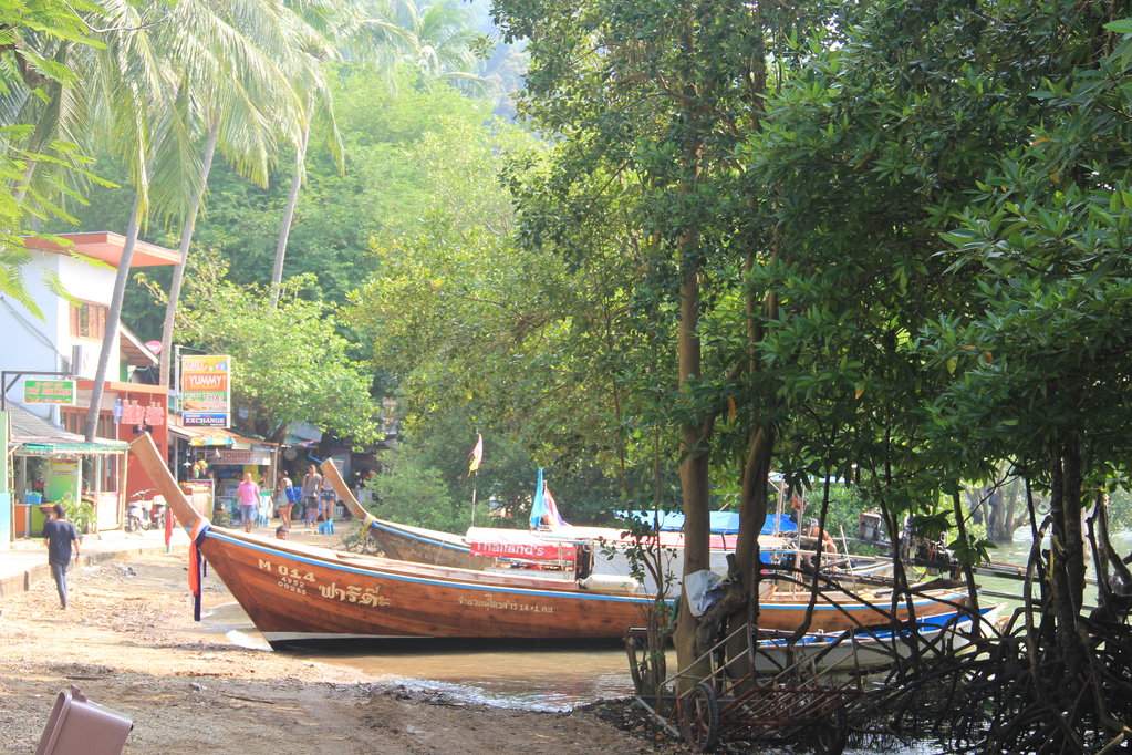 IMG_7929.JPG