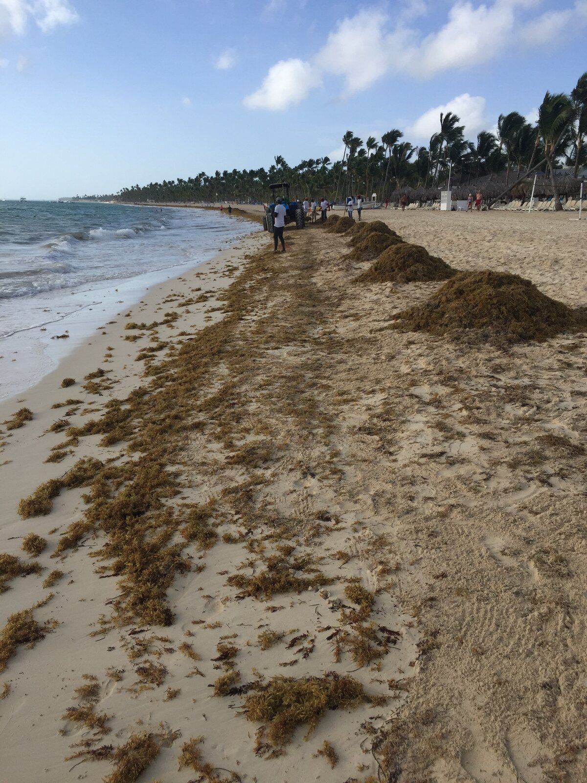 IMG_8476.JPG