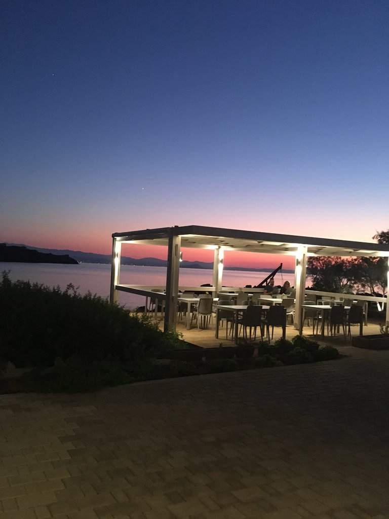IMG_8821.JPG