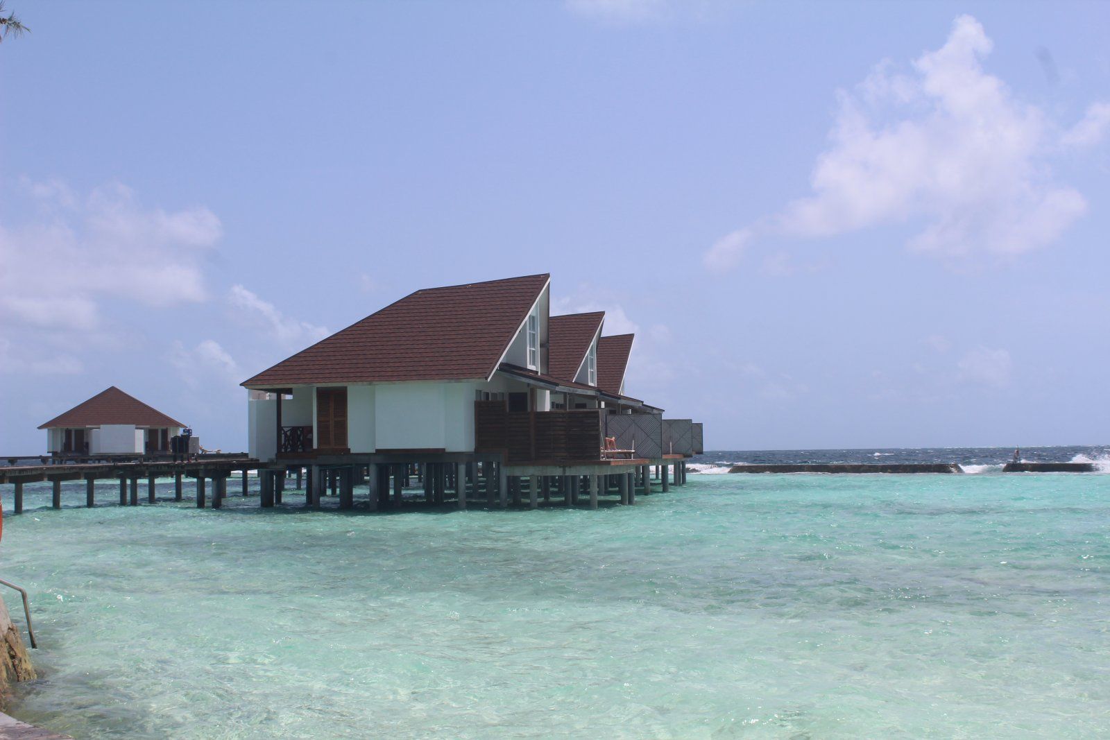 IMG_9719.JPG