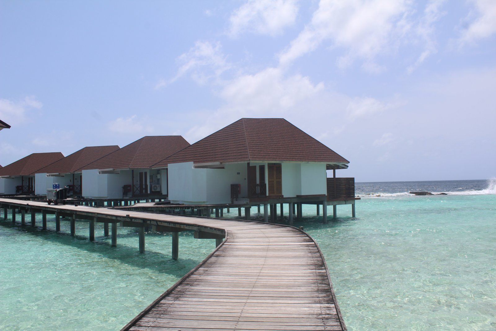 IMG_9724.JPG
