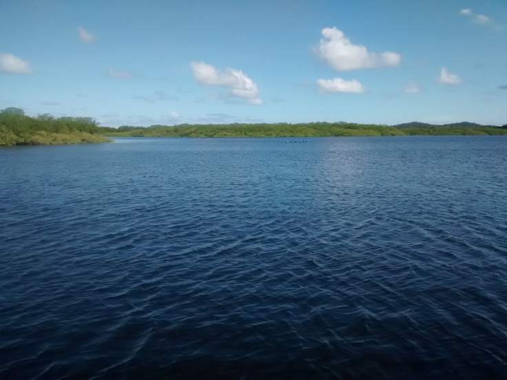mangue no rio do inferno boipeba_20150331_134621392.jpg