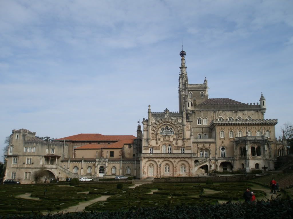 P2140348.jpg
