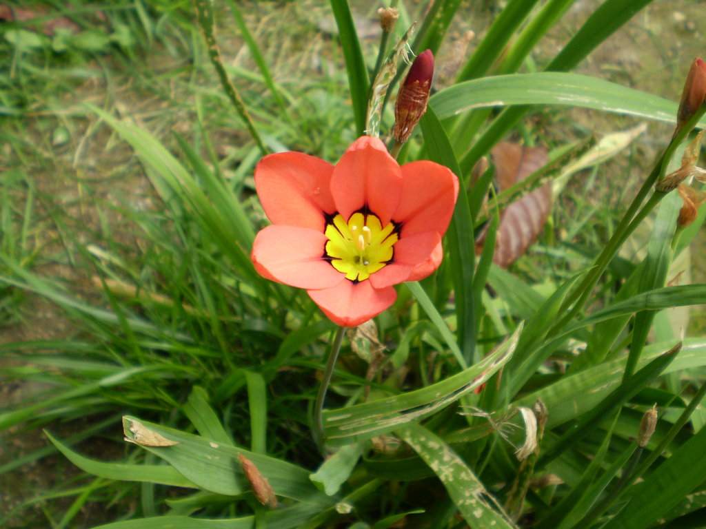 p3300049-jpg.jpg