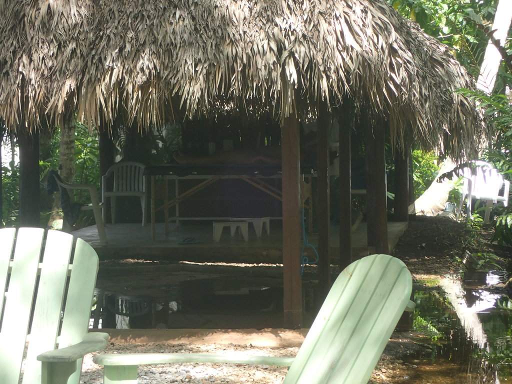 P8250871.JPG