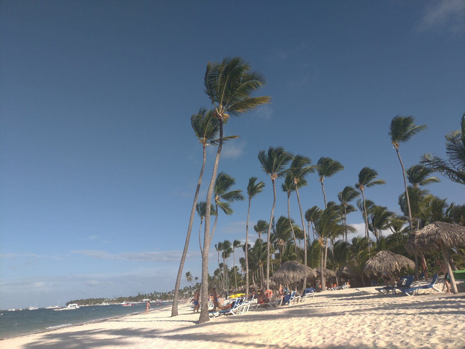 P_20190615_170356_vHDR_Auto.jpg