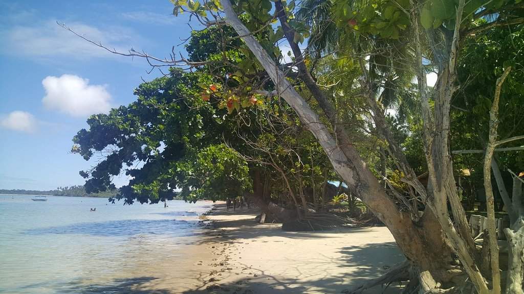 Praia de Moreré26232344_10216555415378248_2942225634625224707_o.jpg