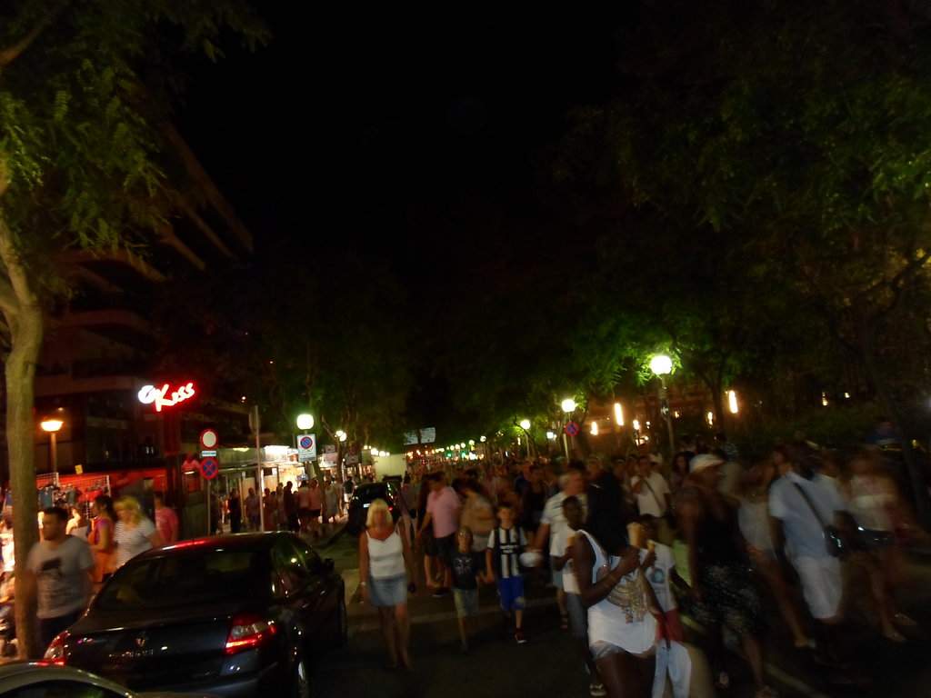 SAM_0454.JPG