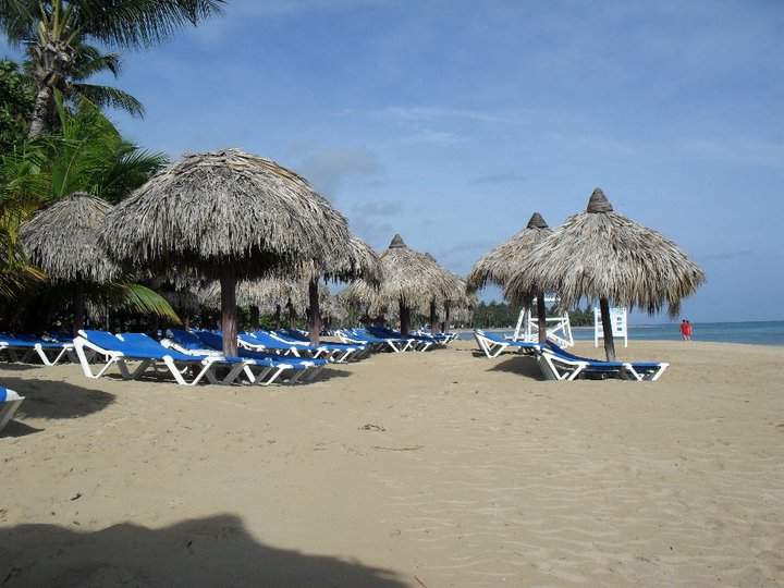 samaná 1.jpg