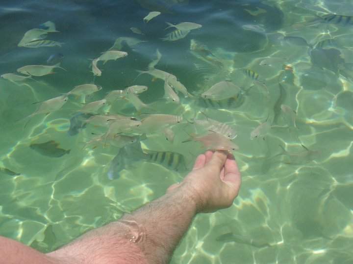 samaná 3.jpg