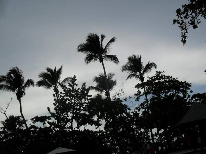 samaná 4.jpg