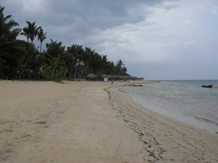 samaná 5.jpg