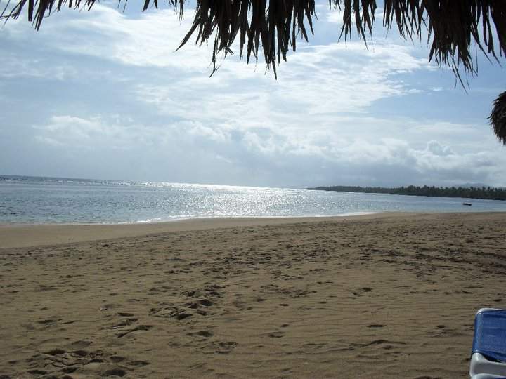 samaná.jpg